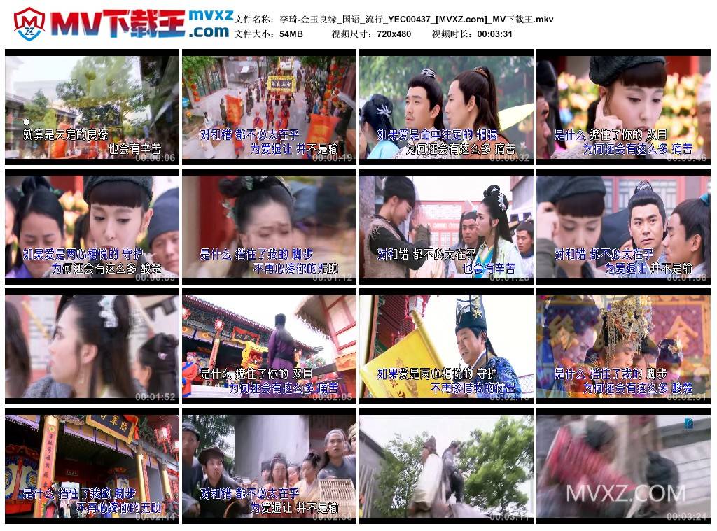 李琦-金玉良缘_国语_流行_YEC00437